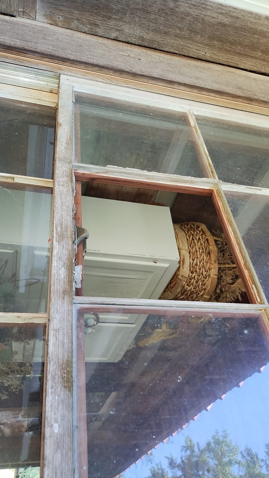 Home window opening before replacement — MMAC Renovation project